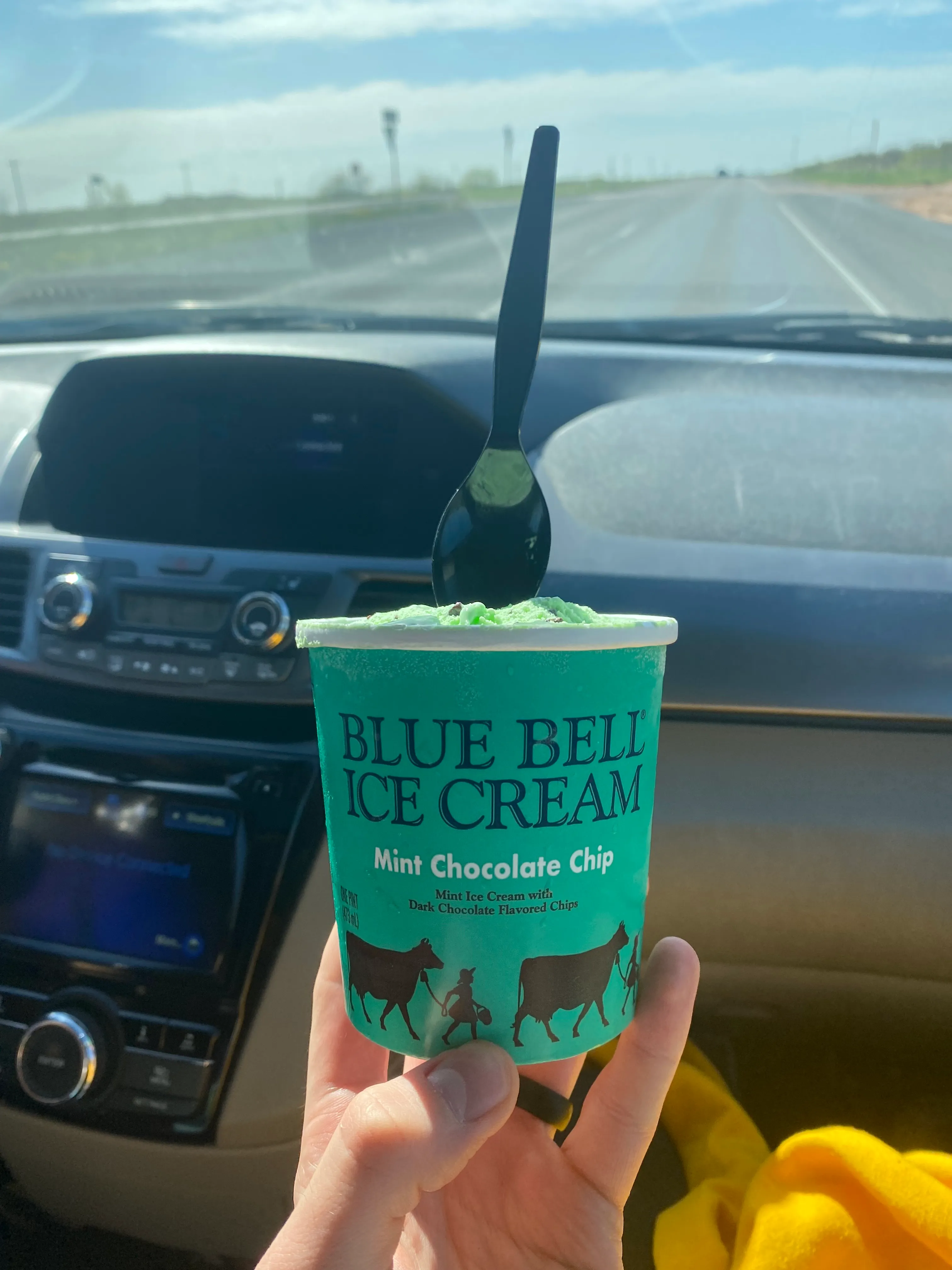 my full bluebell