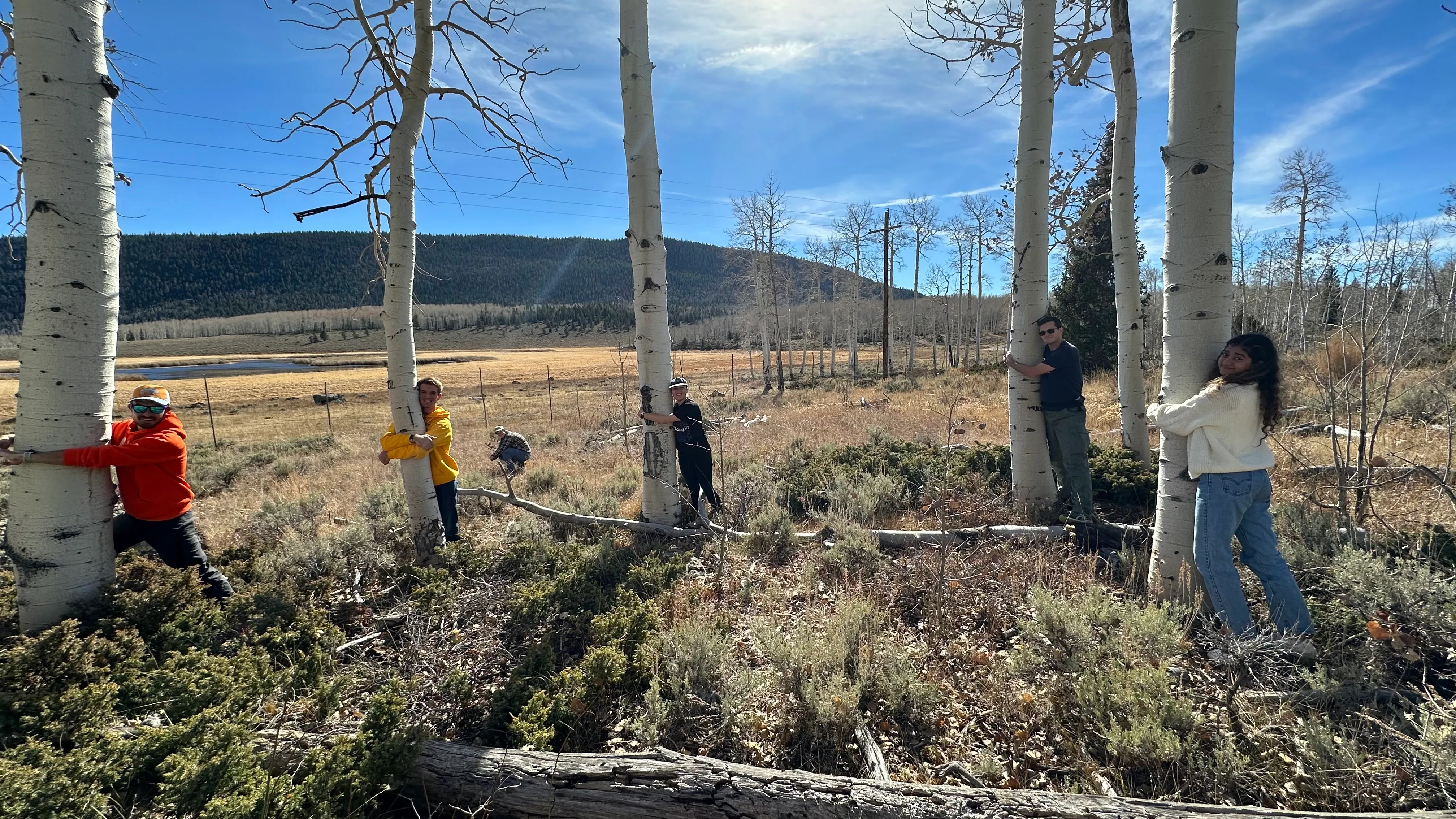 Visiting Pando